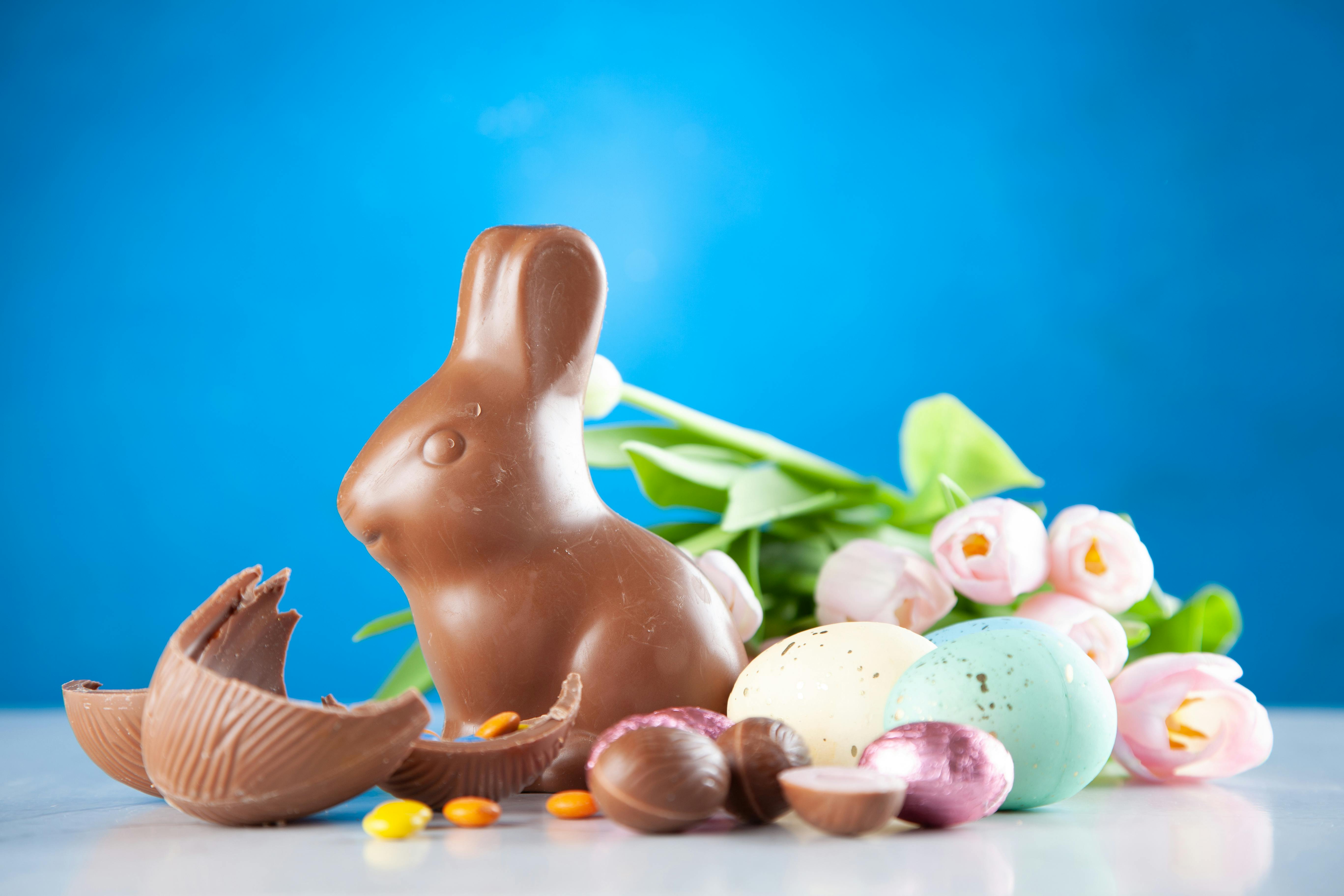 Top 5 Peter Rabbit Movie Insights to Enhance Your Viewing Experience in 2025
