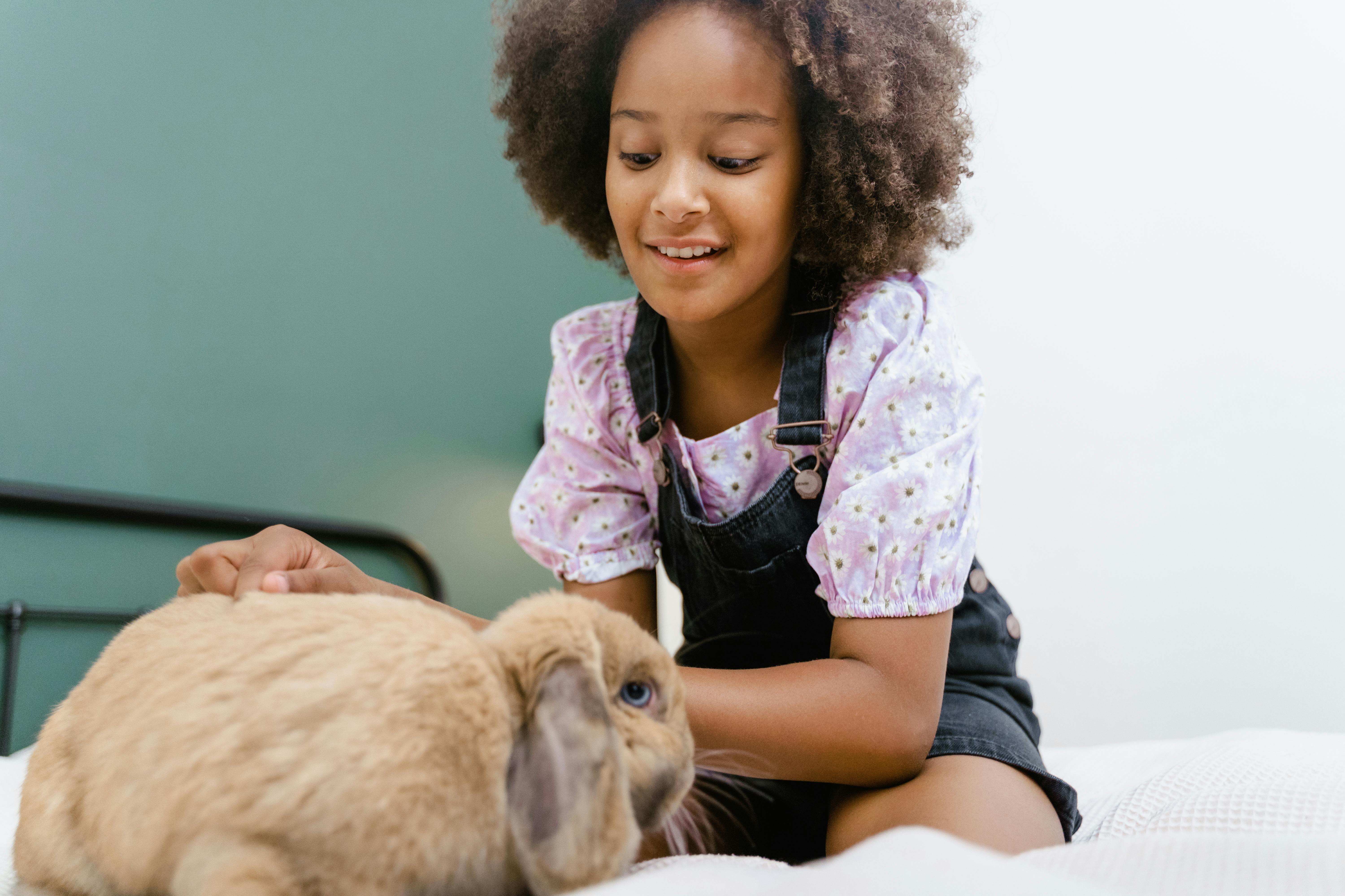 Effective Ways to Discover Rabbit with Horns in 2025