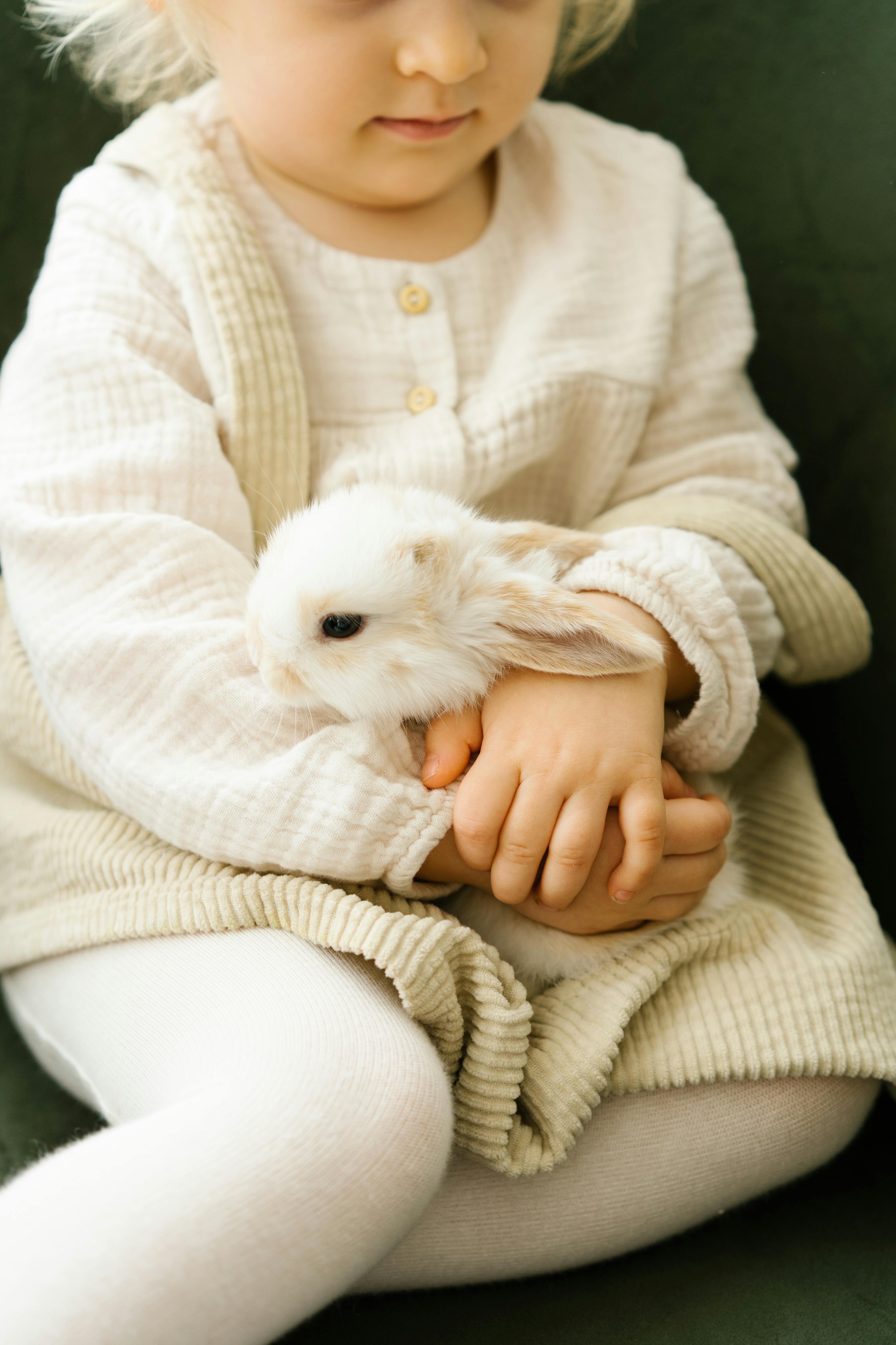 Effective Ways to Celebrate International Rabbit Day 2025