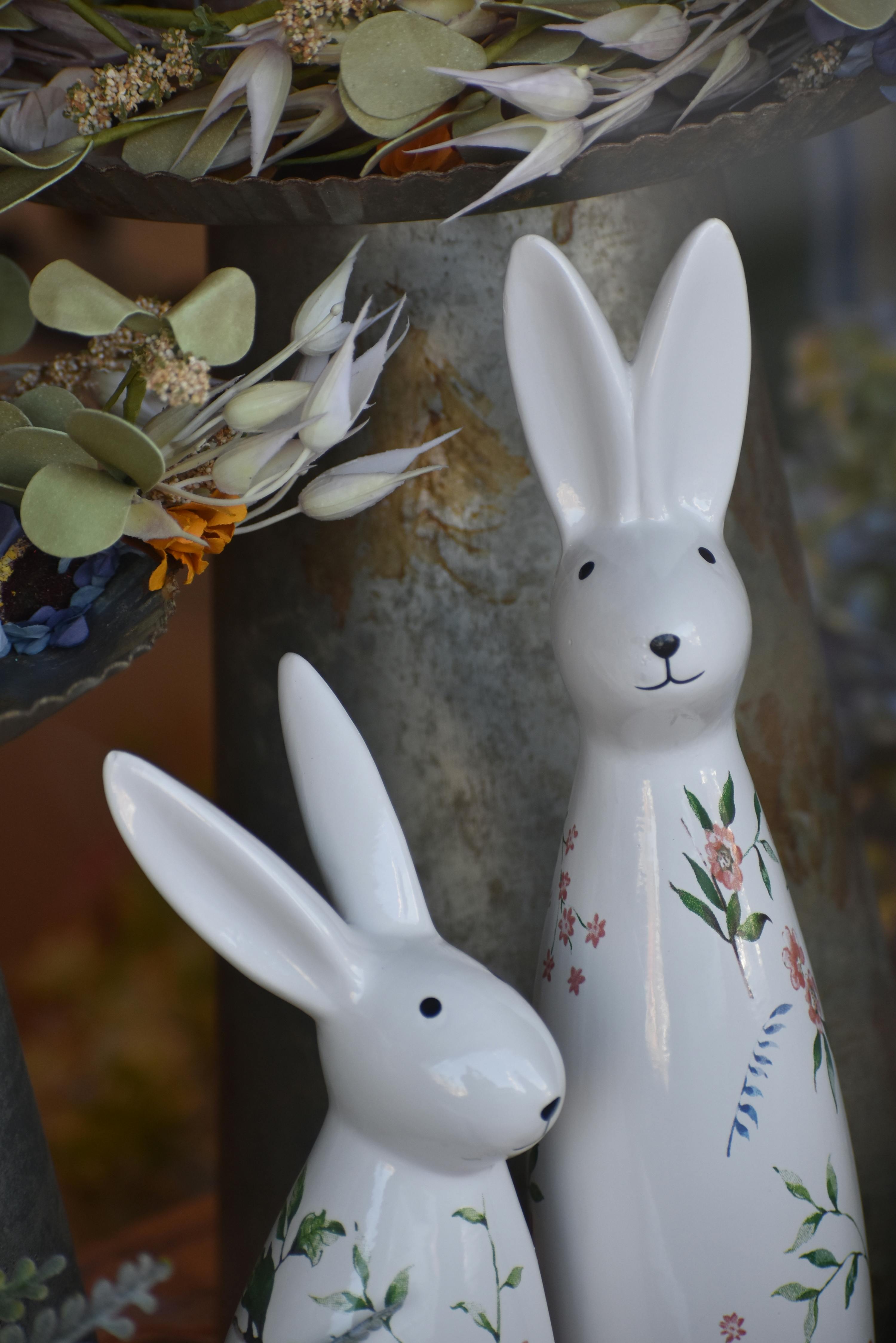 Smart Ways to Care for Giant Rabbit Breeds: Enhance Your Experience in 2025