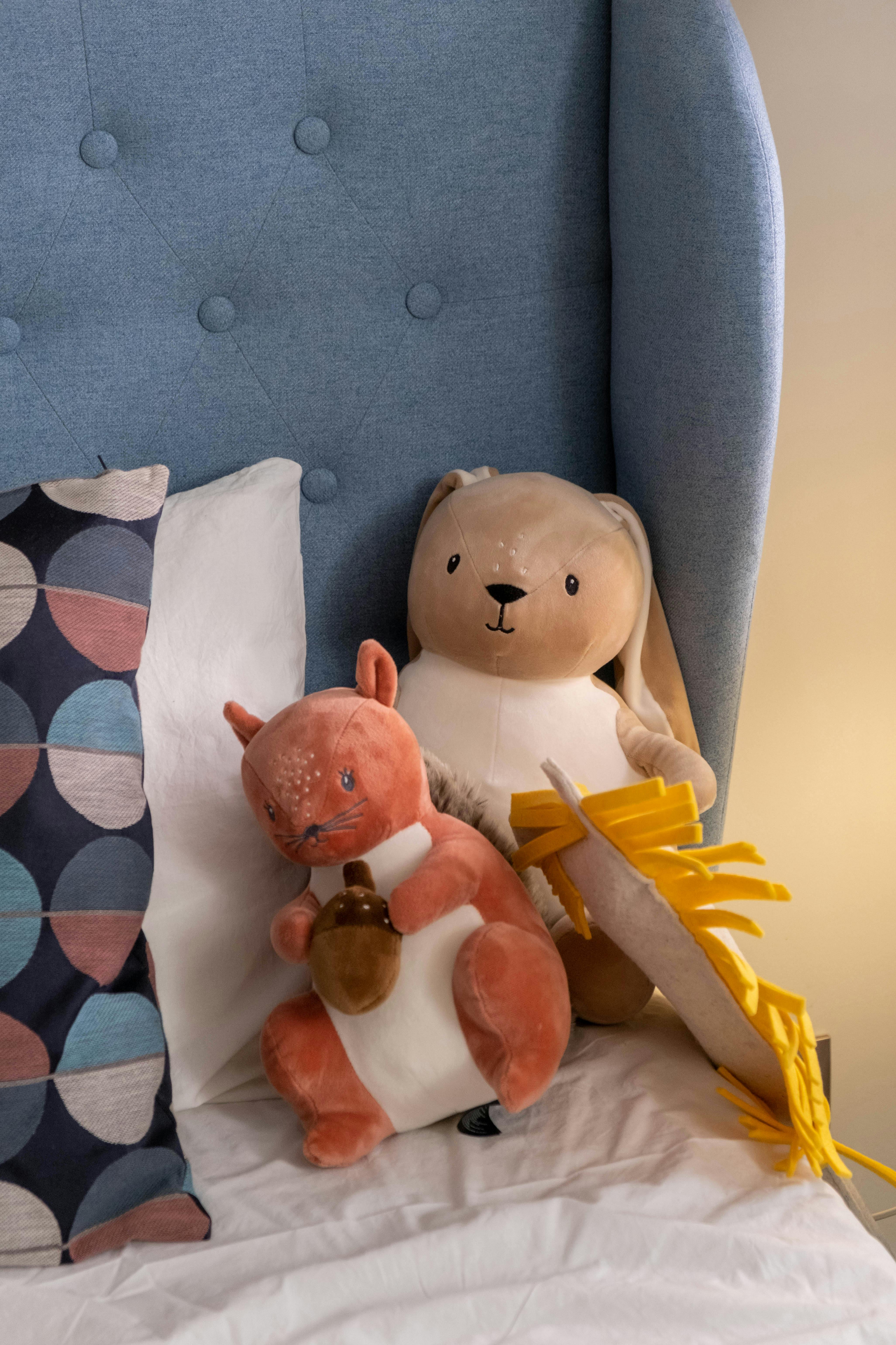 Explore Smart Ways to Care for Rachel Rabbit White in 2025!