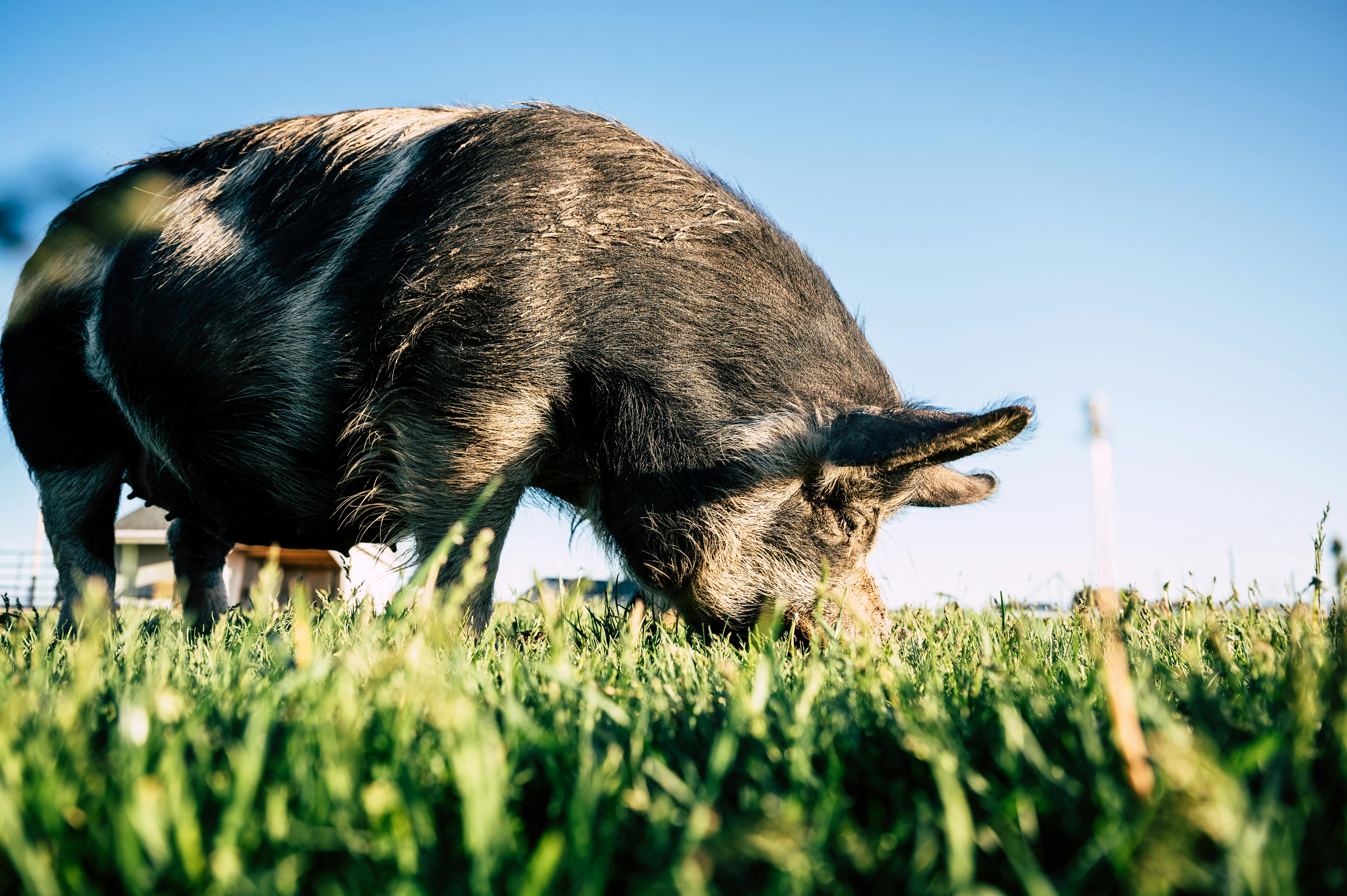 Smart Ways to Utilize "The Rabbit Listened" for Better Communication in 2025