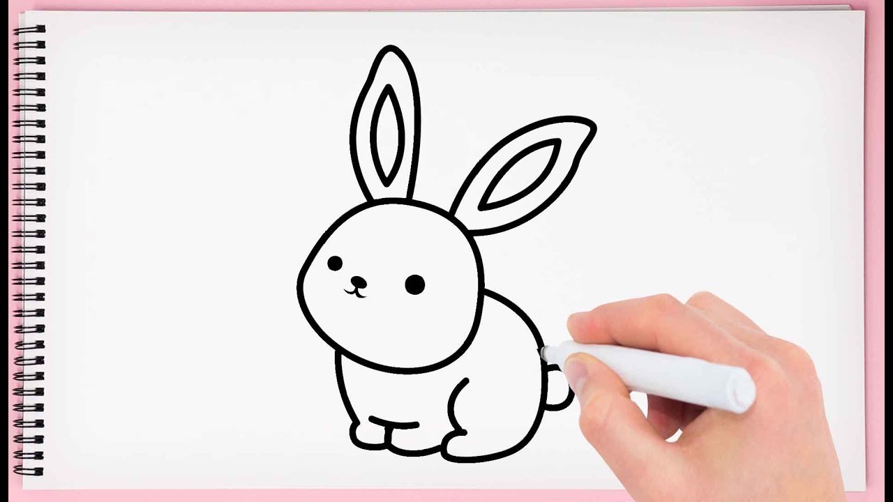 Step by Step Rabbit Drawing