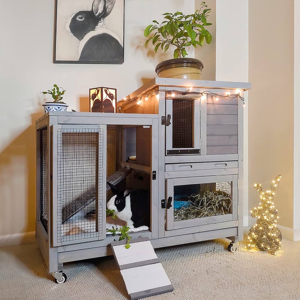 Indoor rabbit hutch setup