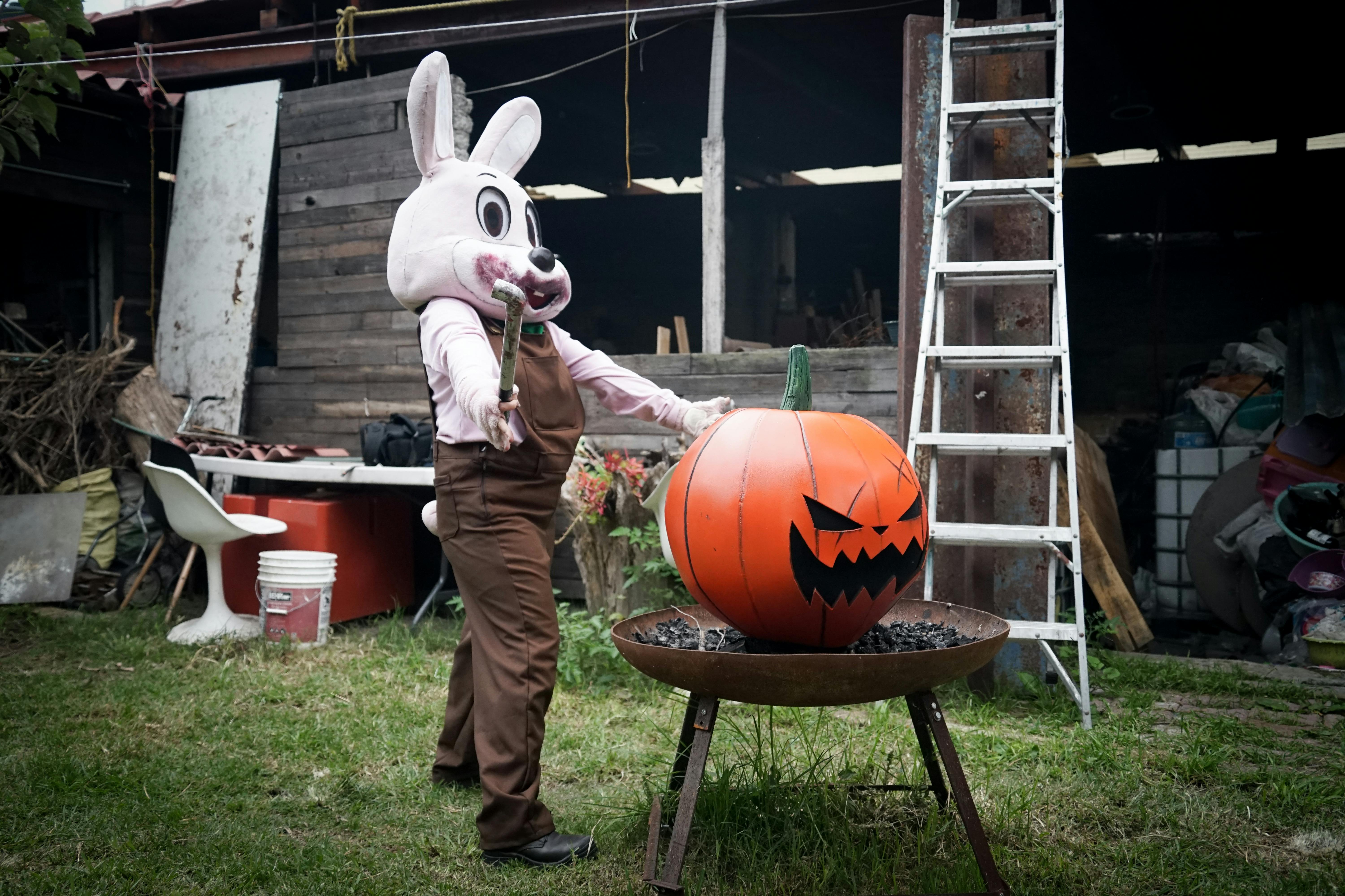 Flemish Giant Rabbit